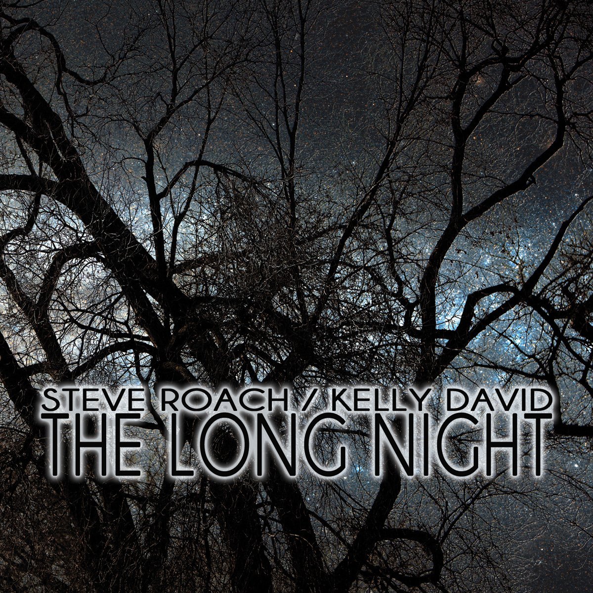 Steve Roach / Kelly David - The Long Night artwork